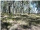 Bauple QLD 4650