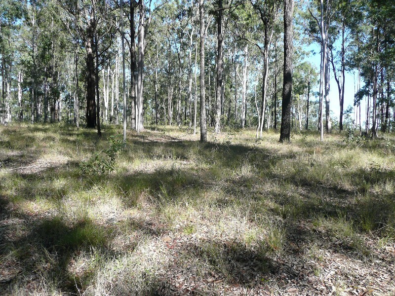 Bauple QLD 4650
