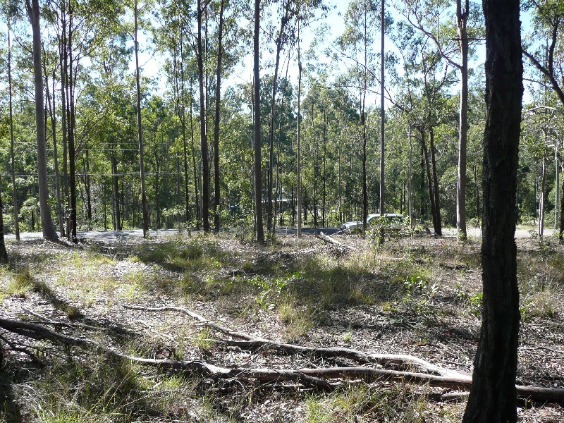 Bauple QLD 4650