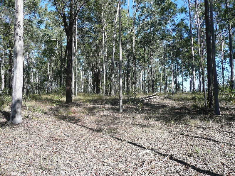 Bauple QLD 4650