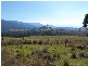 Verona NSW 2550