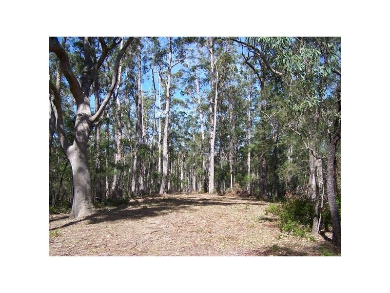 Brogo NSW 2550