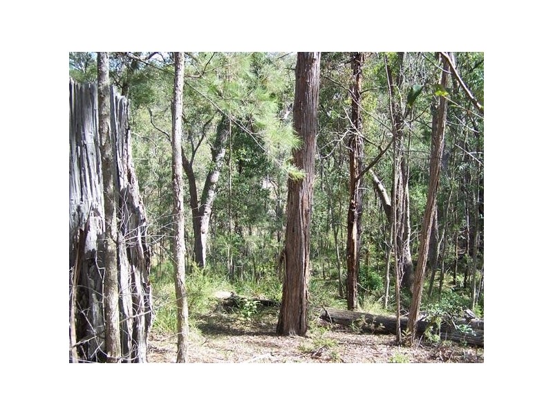 Brogo NSW 2550
