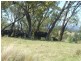 Verona NSW 2550