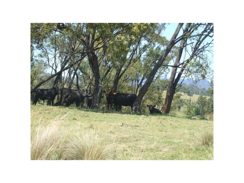 Verona NSW 2550