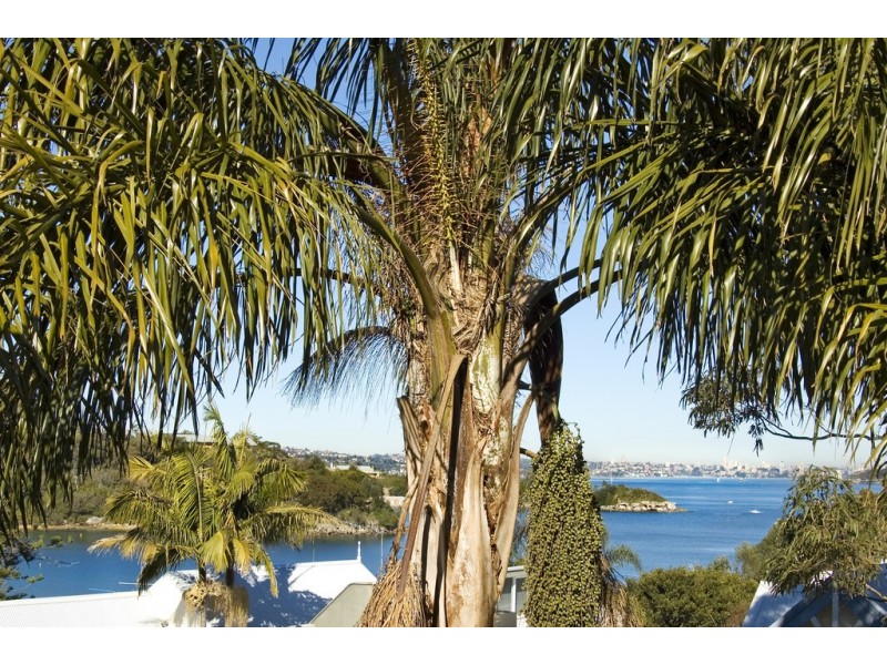 7/88 Wood Street, Manly NSW 2095