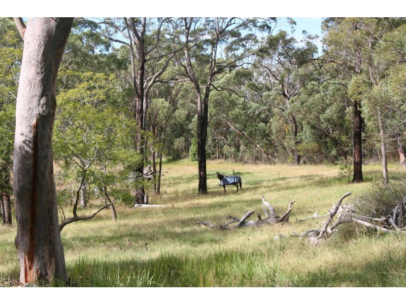 45 Bloodwood Road, Fiddletown NSW 2159