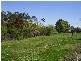 Arcadia NSW 2159