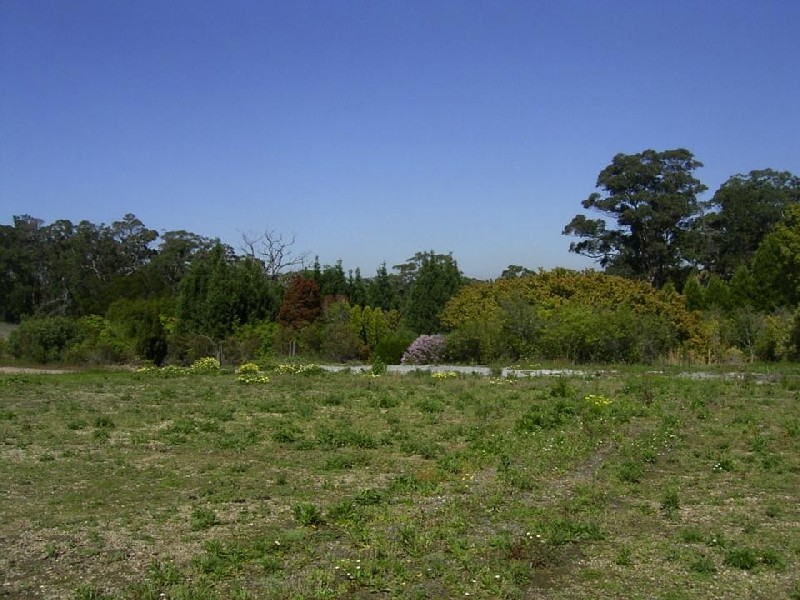 Arcadia NSW 2159