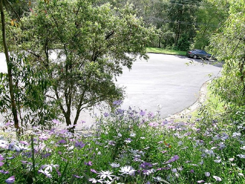 43 Canyon Road, Baulkham Hills NSW 2153