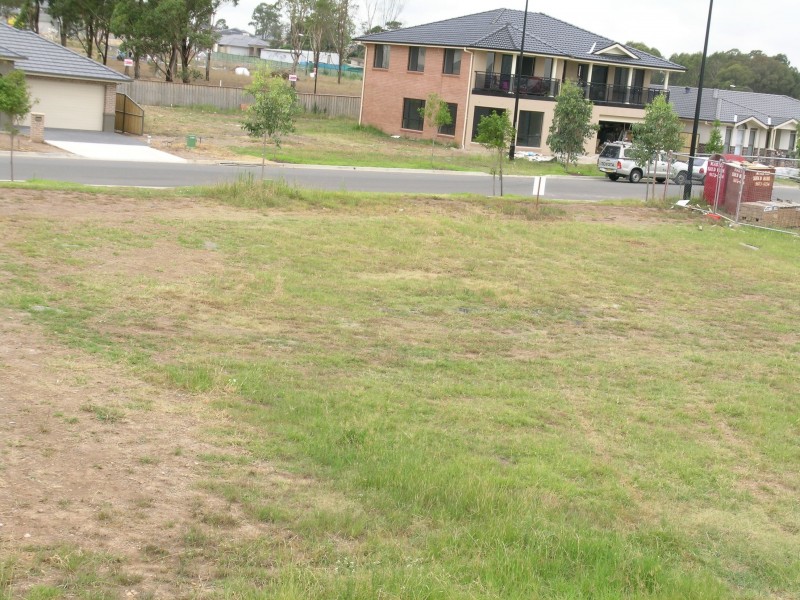67 The Ponds Boulevard, The Ponds NSW 2769