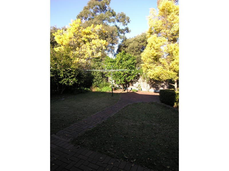 21 Potter Street, Russell Lea NSW 2046