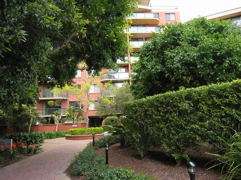 5203/177 Mitchell Road, Erskineville NSW 2043