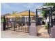 20 Lapish Avenue, Ashfield NSW 2131