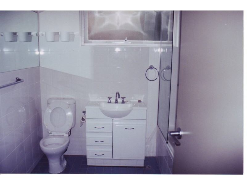 3/2 Benalla Ave, Ashfield NSW 2131