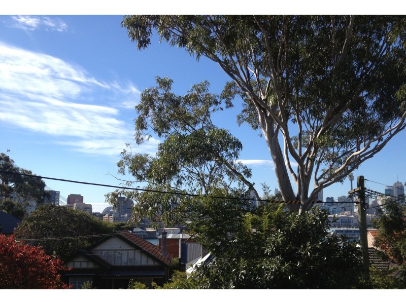 12/12 Avona Avenue, Glebe NSW 2037