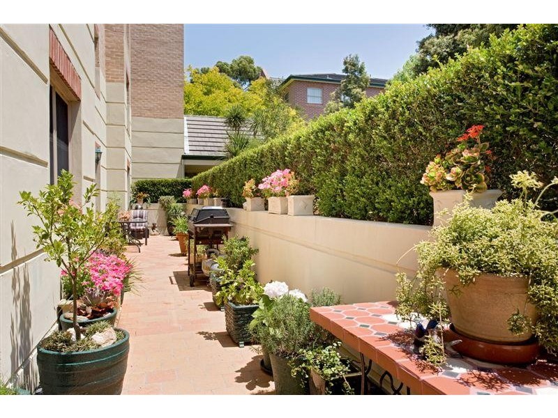 247K Burwood Road, Concord NSW 2137