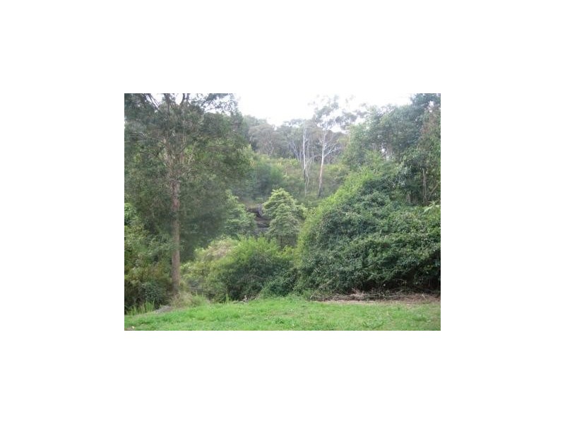 66A Higginbotham Road, Gladesville NSW 2111