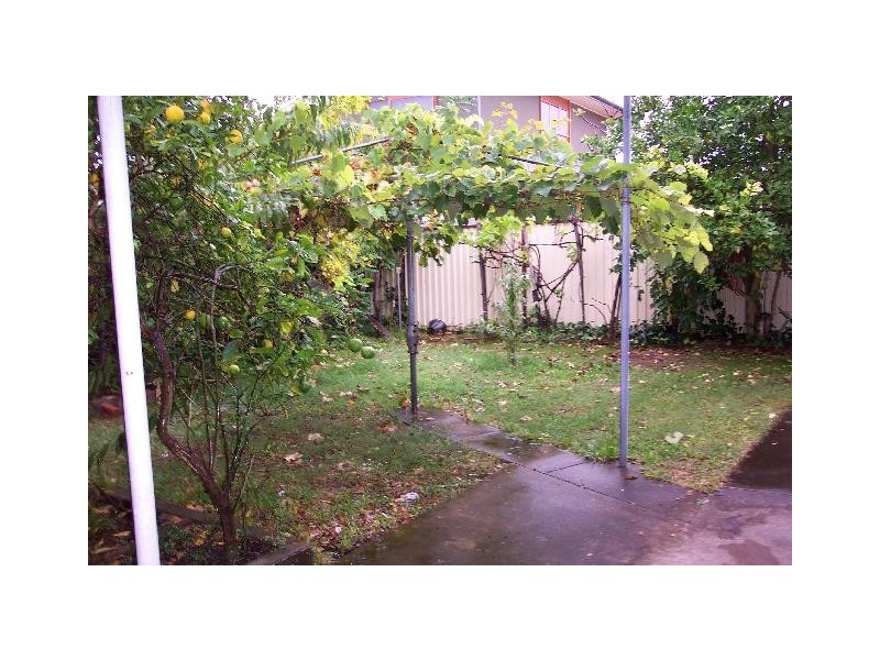 39 First Avenue, Rodd Point NSW 2046