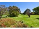 3 Warringa Road, Cammeray NSW 2062