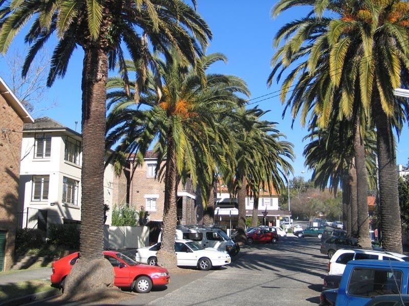 1/5 Ballantyne Street, Mosman NSW 2088