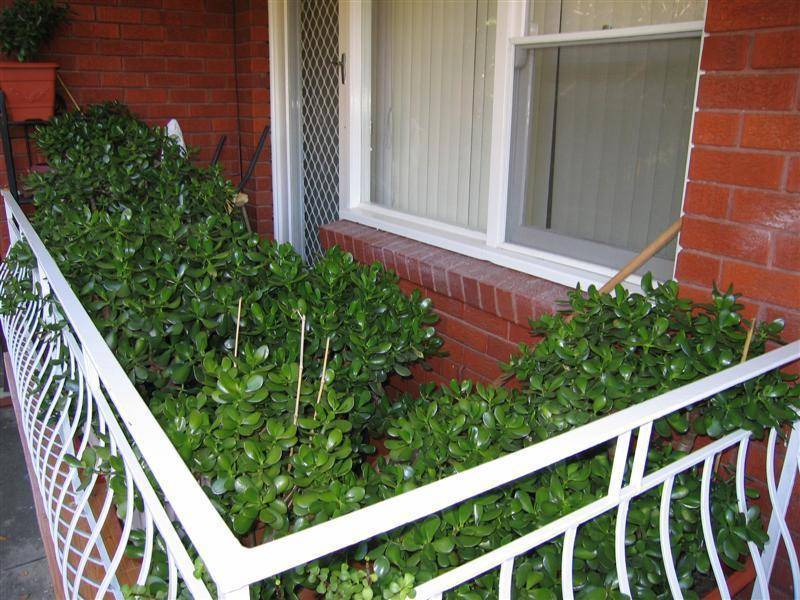 26 May Street., Eastwood NSW 2122