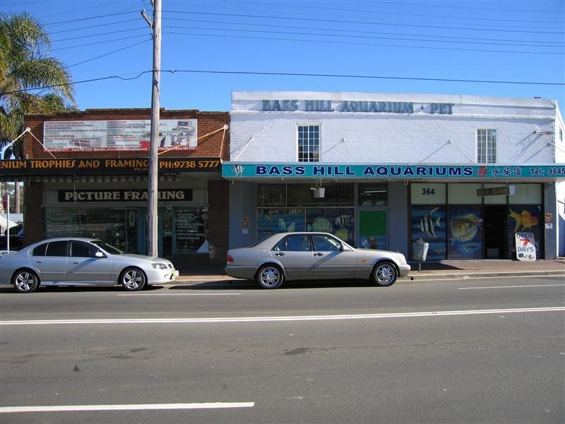 Hector Street, Bass Hill NSW 2197