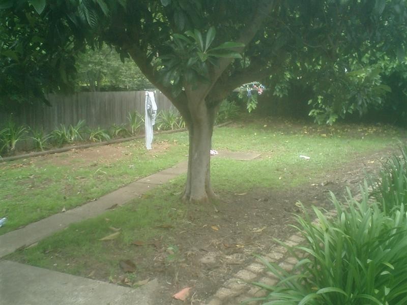 23A Wolger Road, Ryde NSW 2112