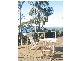 98 Grandview Drive, Newport NSW 2106
