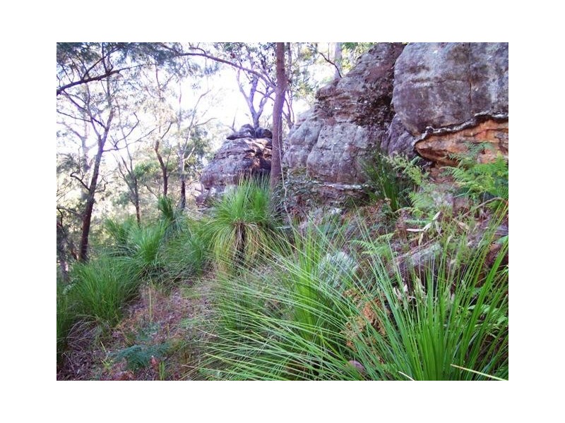 4502 Wisemans Ferry Road, Spencer NSW 2775