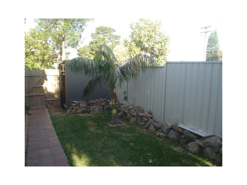 Dulwich Hill NSW 2203
