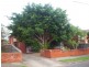 Strathfield South NSW 2136