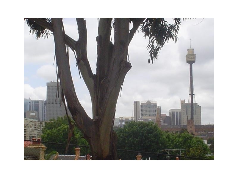 Potts Point NSW 2011