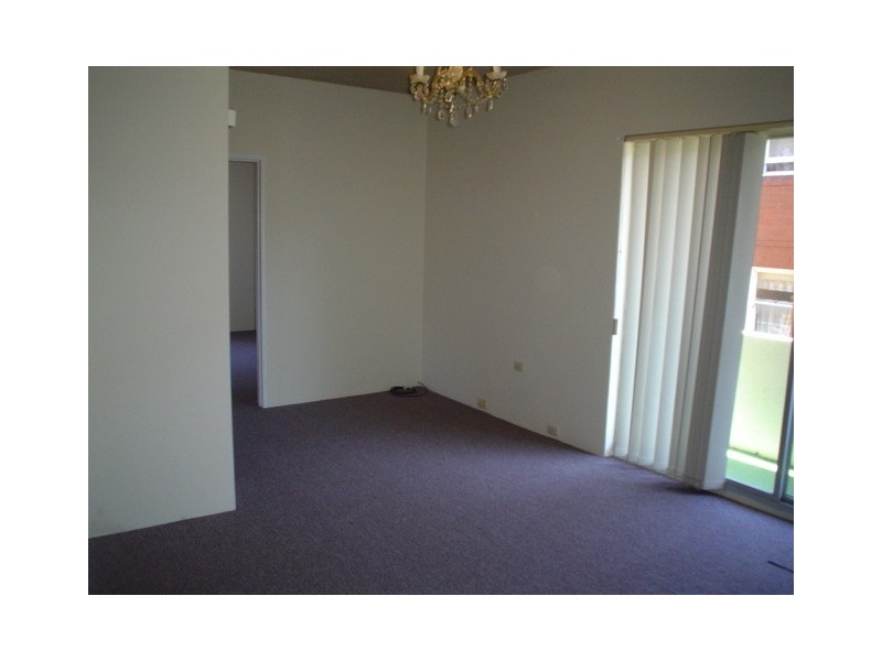 Ashfield NSW 2131