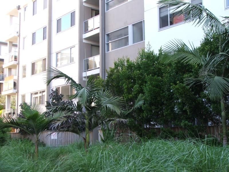 Pacific Parade, Dee Why NSW 2099