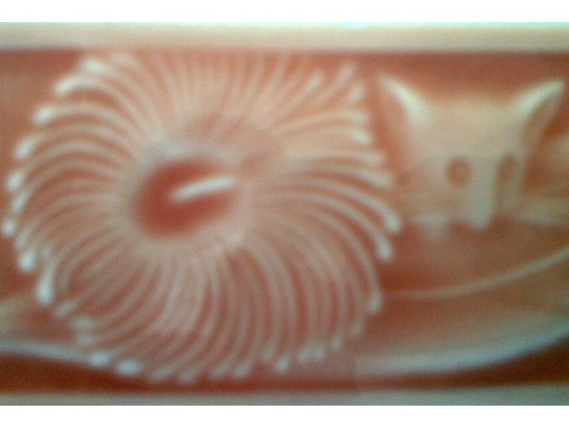 15 Nield Avenue, Balgowlah NSW 2093