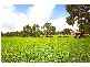 Concord NSW 2137