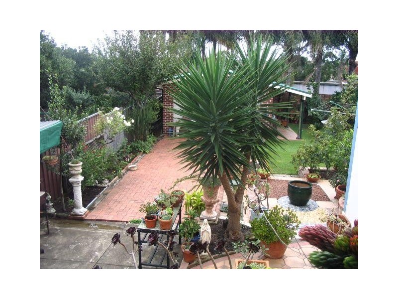 Russell Lea NSW 2046