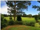 Concord NSW 2137