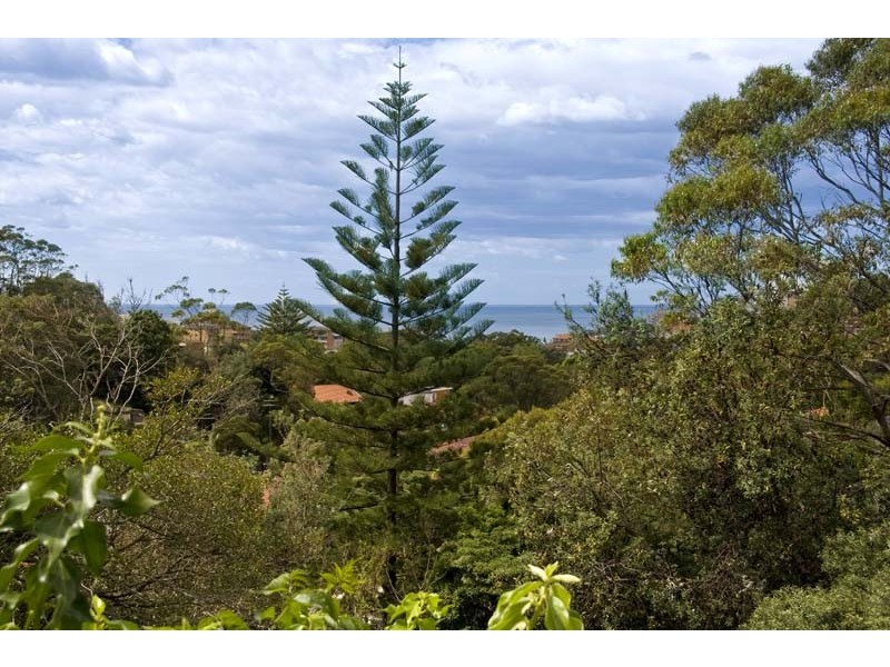 3/131 Carrington Road, Coogee NSW 2034