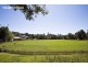 18B Harris Street, Paddington NSW 2021