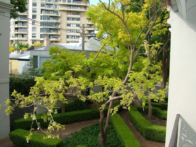 17 Glebe Street, Edgecliff NSW 2027