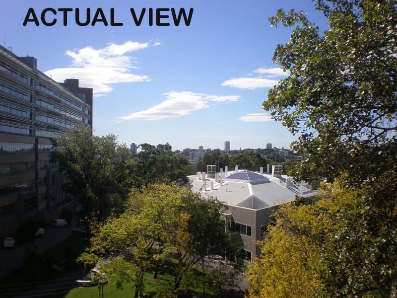 12/188 Boundary Road, Paddington NSW 2021