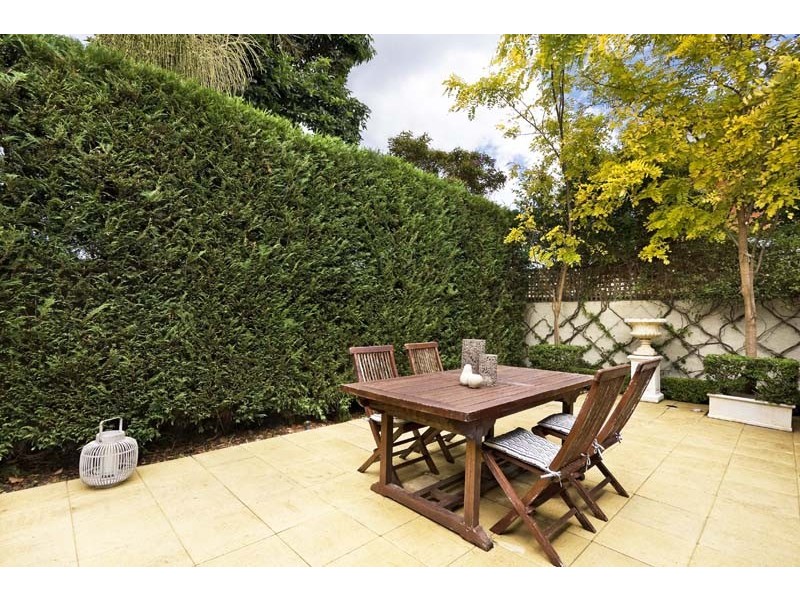 16 Ethel Street, Randwick NSW 2031