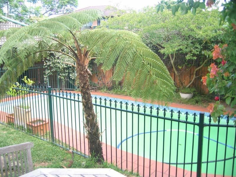 135 Darley Road, Randwick NSW 2031