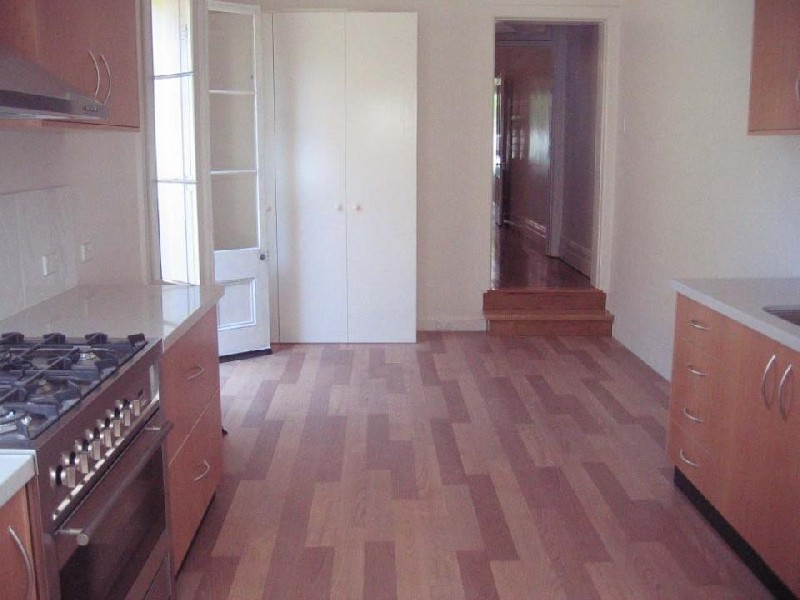 102 Jersey Road, Paddington NSW 2021