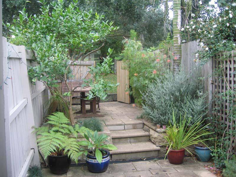 17 Waverley Street, Randwick NSW 2031