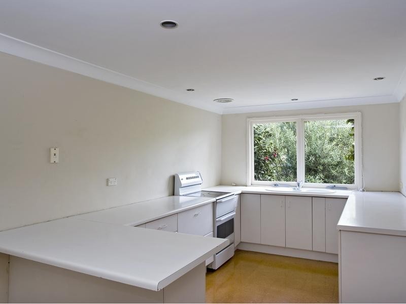 37 Stewart Street, Paddington NSW 2021