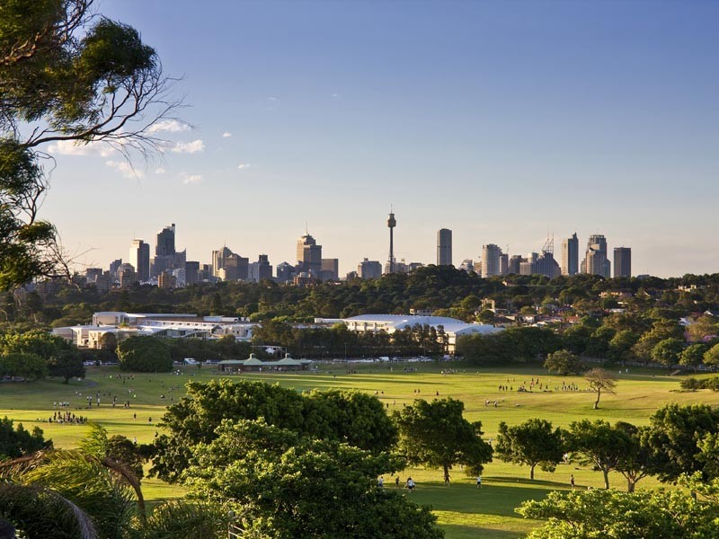 253 Darley Road, Randwick North NSW 2031