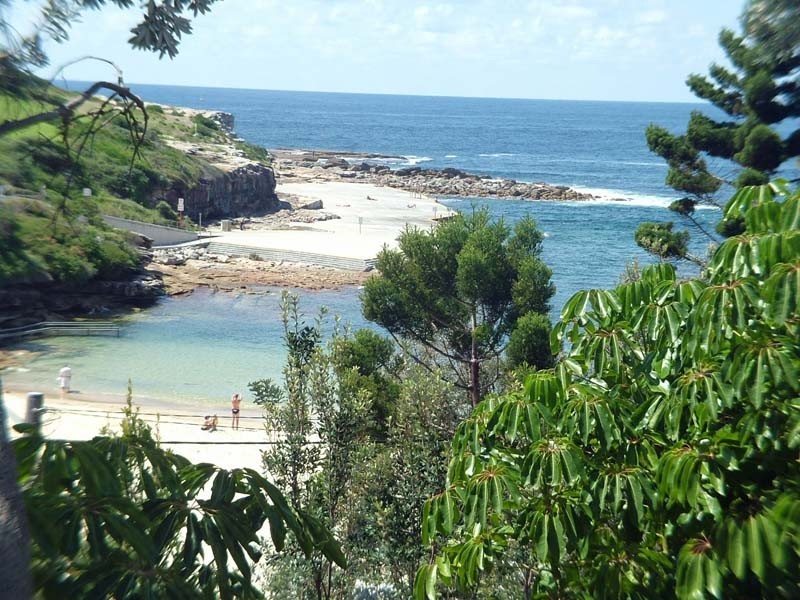 23 Surfside Avenue, Clovelly NSW 2031